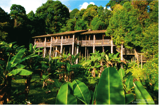 borneo craft global Fiels Trips and Cultural - Tours Sarawak Cultural Village, Borneo Cultures Museum, Songket & Keringkam Gallery and Tanoti House - melanau house